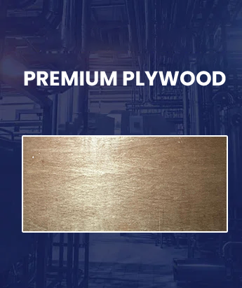 Premium-Plywood