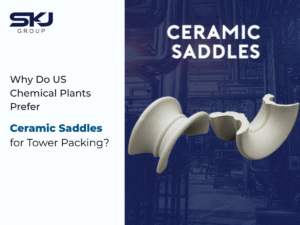 us-chemical-plants-ceramic-saddles-tower-packing
